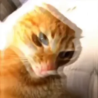 😎