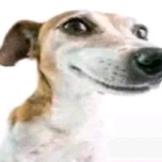 😃