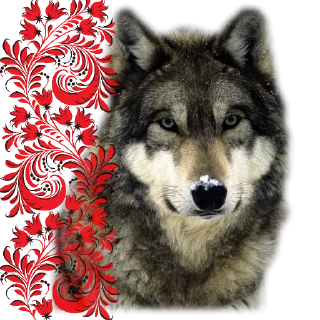 🐺