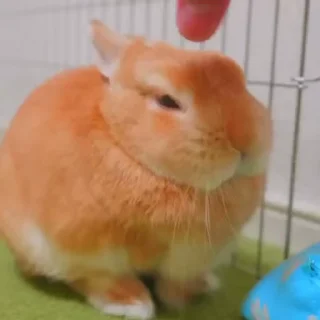🥛