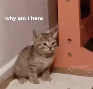😑