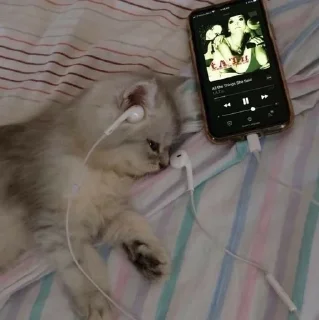 😔