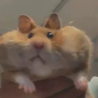 😕