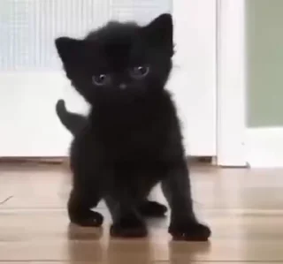 🥰