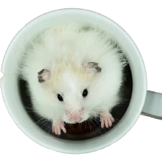 ☕️
