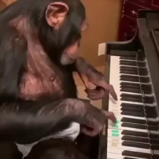 😁