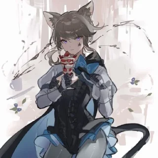 🐈‍⬛