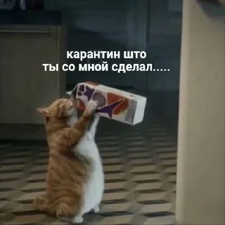 😫