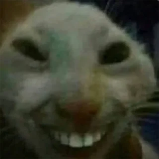 🤣