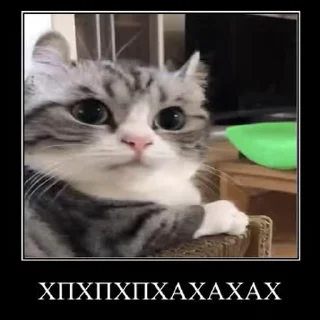 🤣