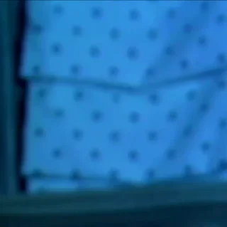 🙀