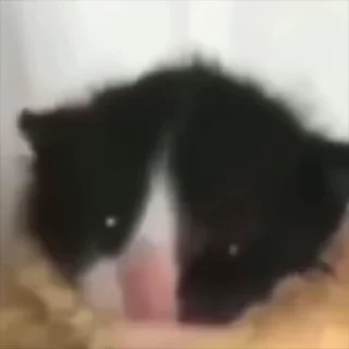 🤓