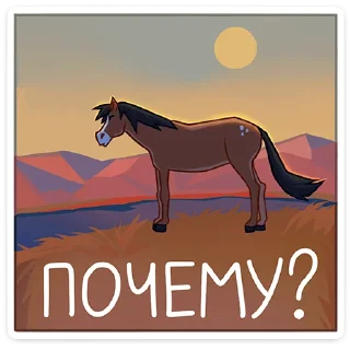 ⭐