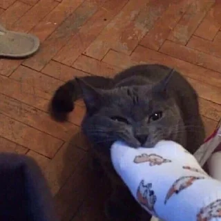 😡