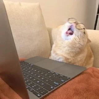😩