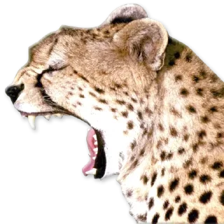 😱