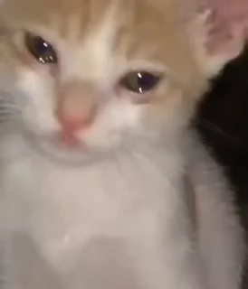 😭