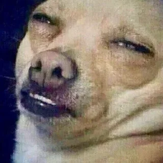 😑