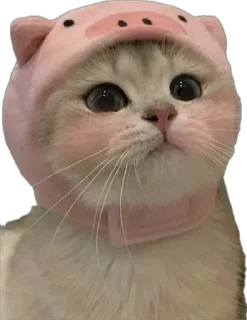 ☺️