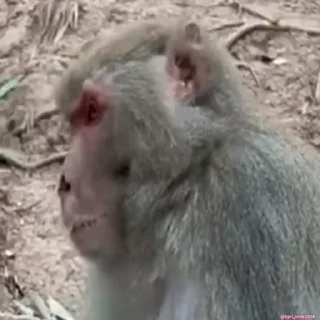 🤨