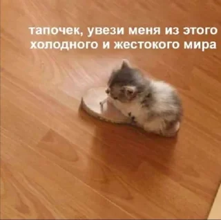 🤔