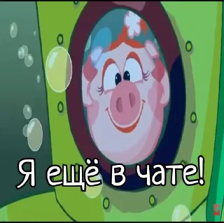 🐽