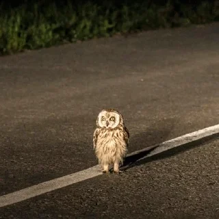 🚗