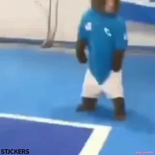 🤦‍♂️