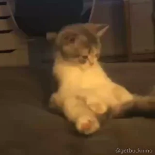 🧐