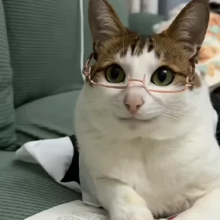 🤓