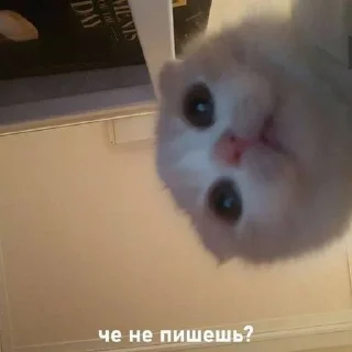 ☺️