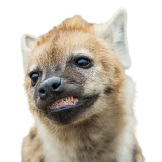 😁