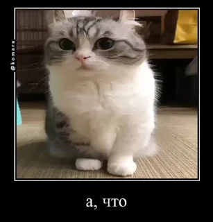 😒