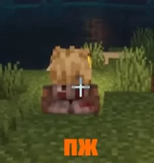 🤏