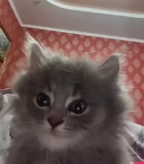 🙂