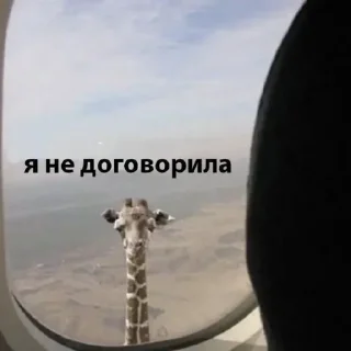 Жизяка🥲