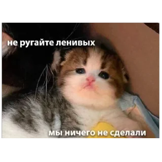 🥺