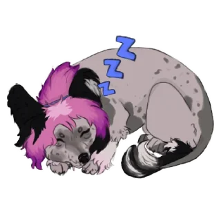 💤