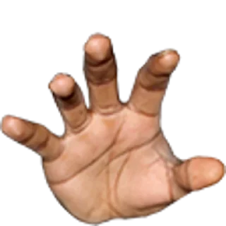 ✋