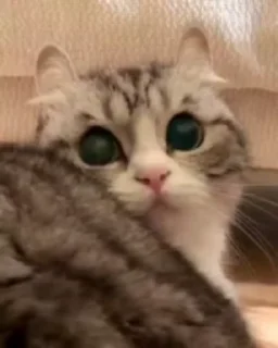 🧐