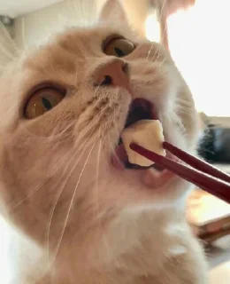 😍