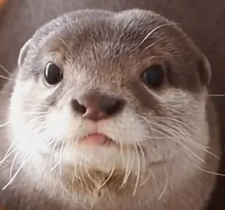 😊