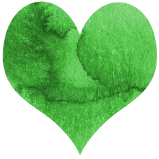 💚