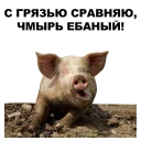 🐖