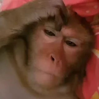 🤨