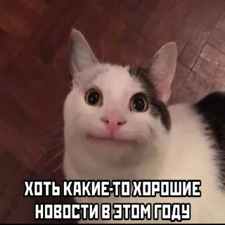 😋