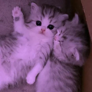 💜