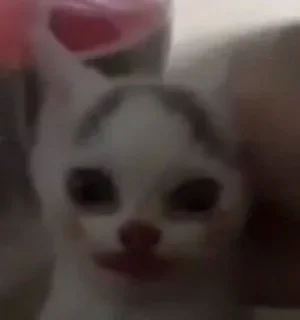 🤡