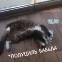💶
