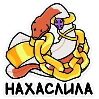 🐍